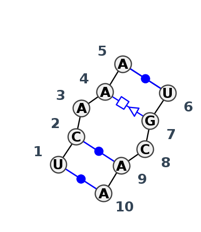 IL_12697.1