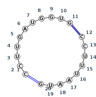 IL_54737.1