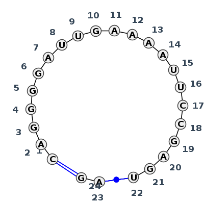 IL_80298.1