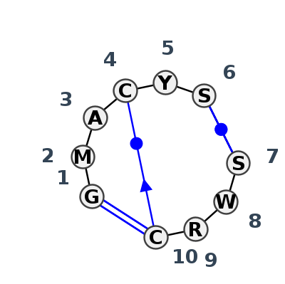 IL_06691.1