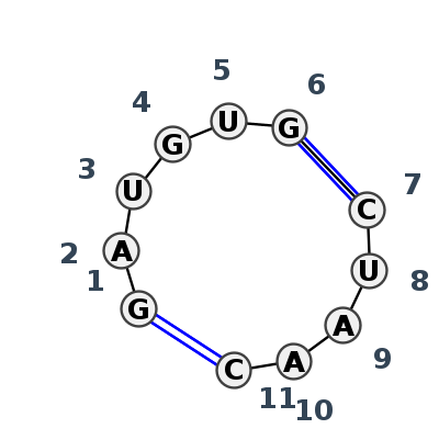 IL_16665.1