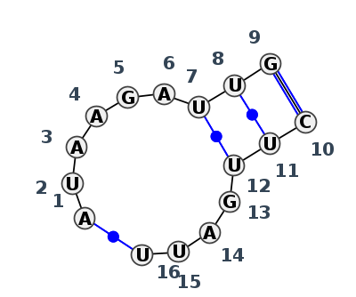 IL_28304.1