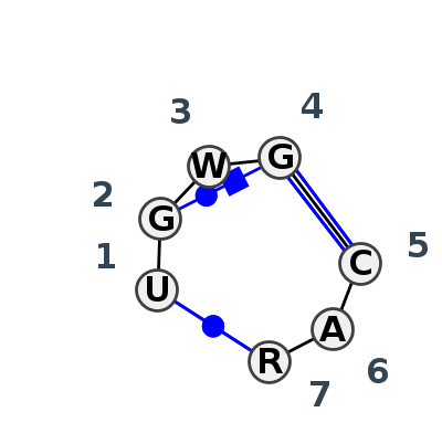 IL_95570.1