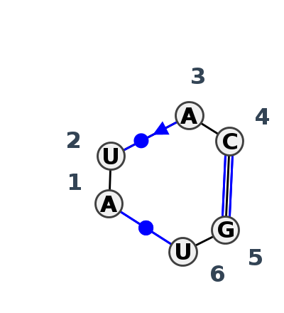 IL_00555.1