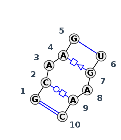 IL_01038.1
