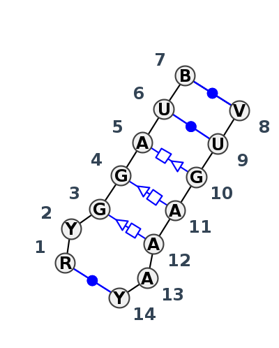 IL_04021.2