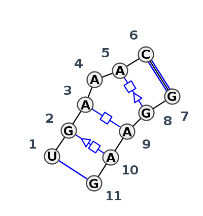 IL_09044.1