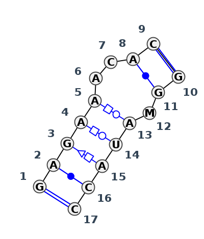 IL_60797.1
