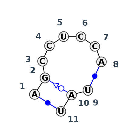 IL_80412.1