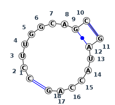 2D diagram