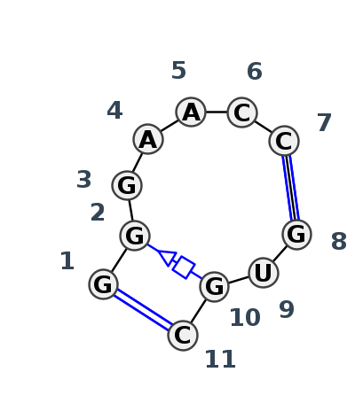 IL_91636.1