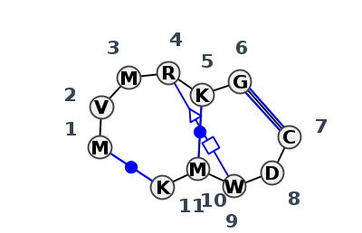 2D diagram
