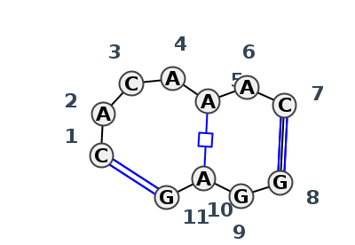 IL_09908.1