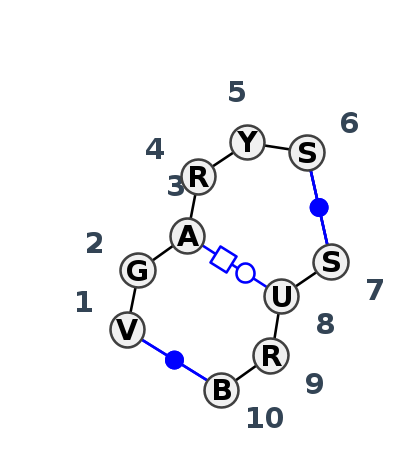 IL_10133.1