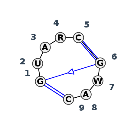 IL_12629.1