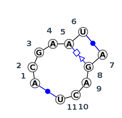 IL_51313.1
