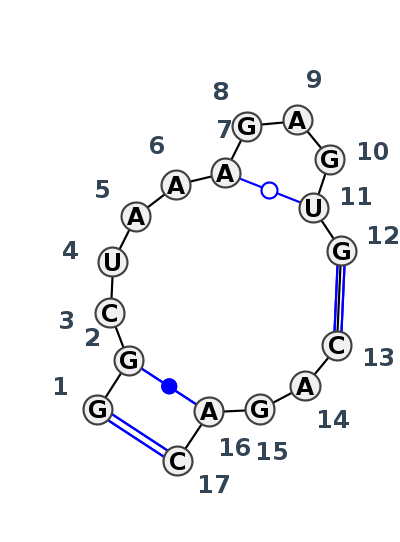 IL_81731.1