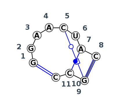 IL_96102.1