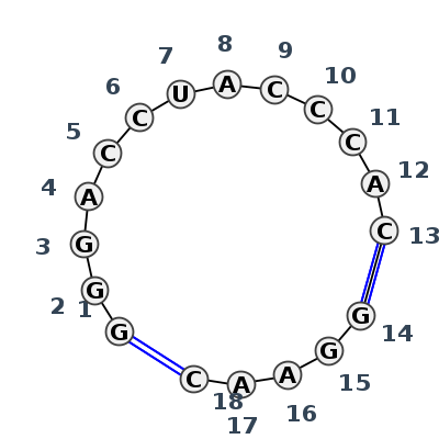 2D diagram