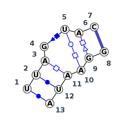 IL_24254.1