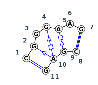 IL_29904.1