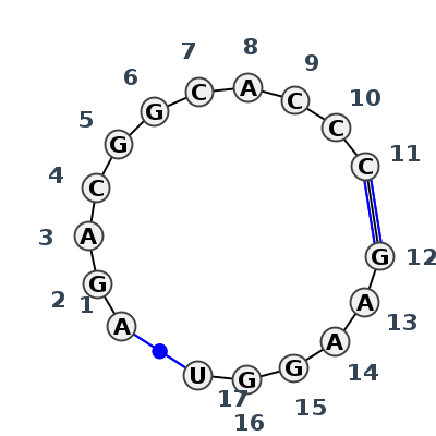 IL_43467.1