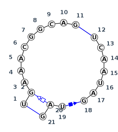 IL_93889.1
