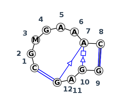 IL_24134.1