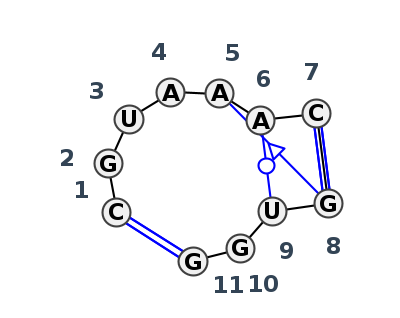 IL_33367.1