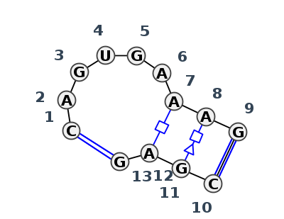 IL_41853.1
