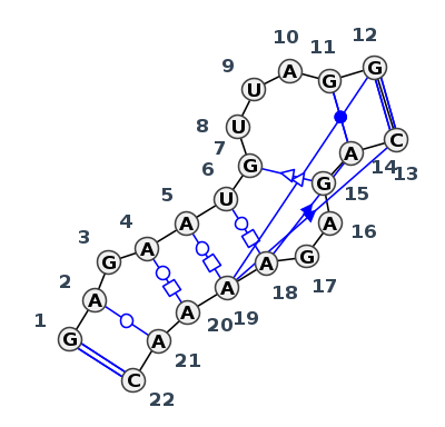 IL_58354.1