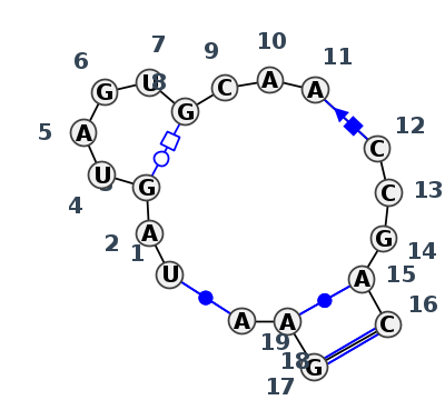 IL_79846.1