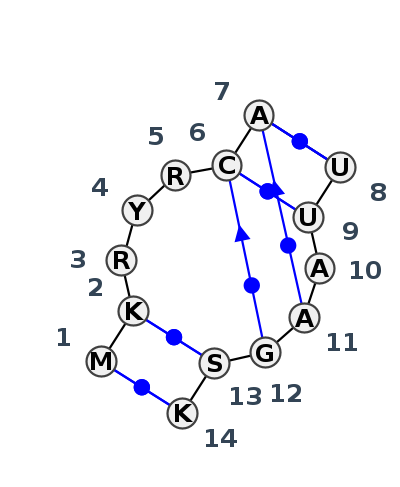 IL_01750.1