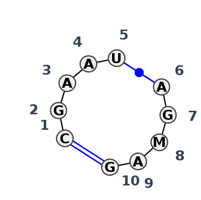 IL_11879.1