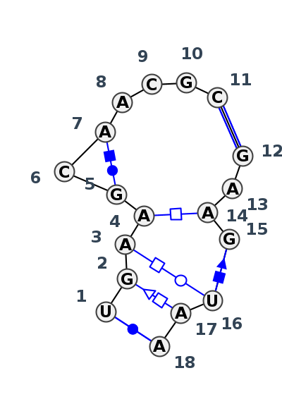 IL_20463.1