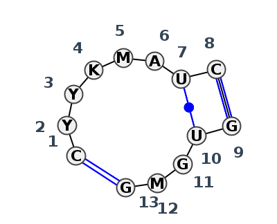 IL_22028.1
