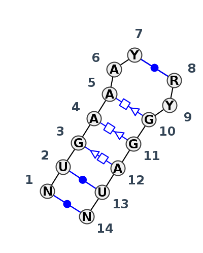 IL_22311.3
