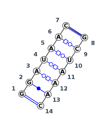 IL_24485.3
