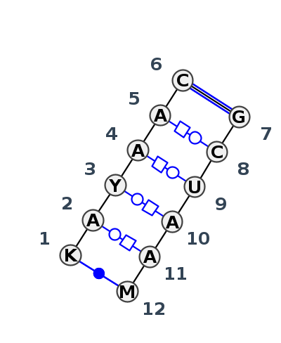IL_29461.1