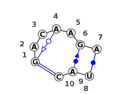 IL_52743.1