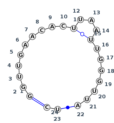 IL_61665.1