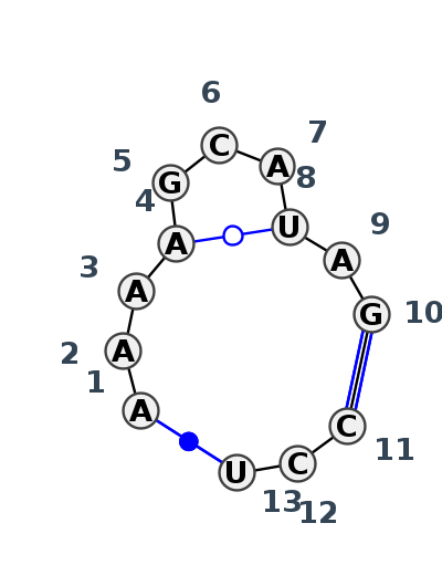 IL_01094.1