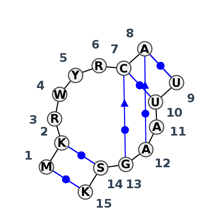 IL_01750.1