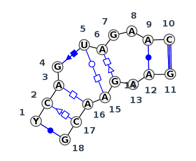 IL_22278.1