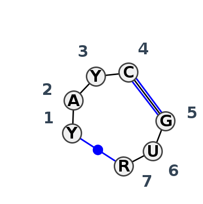 IL_28482.1