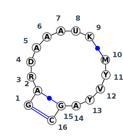 2D diagram