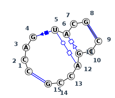 IL_59724.1