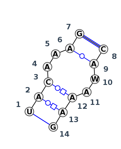IL_12056.1