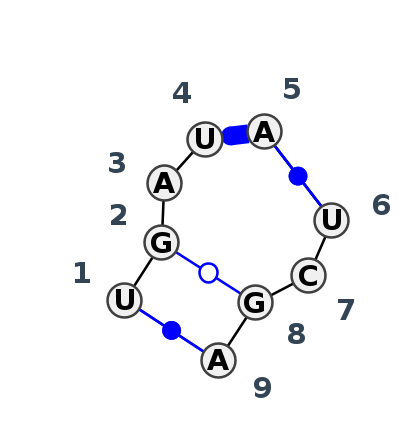 2D diagram