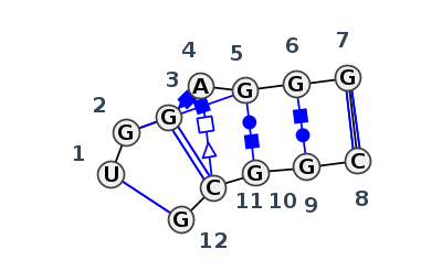 IL_13874.1